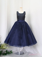 ��߂肷�Ɓ��V�����e�{�A �l�C�r�[